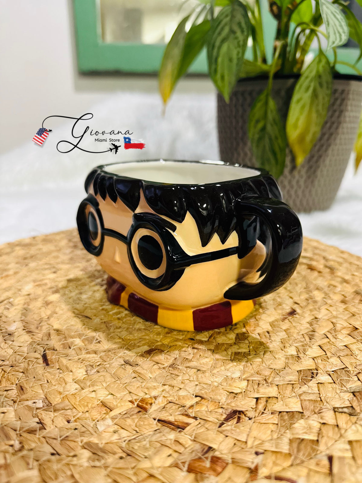 Tazón Harry Potter Funko