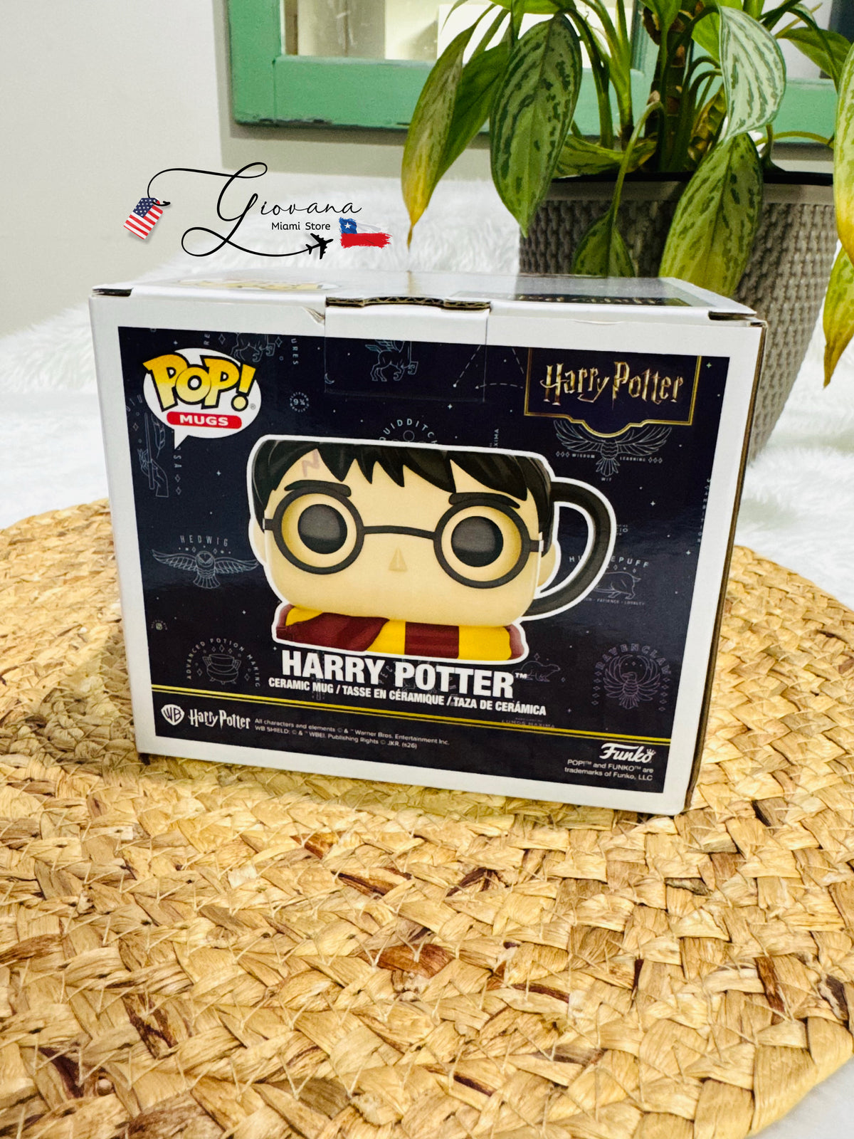 Tazón Harry Potter Funko