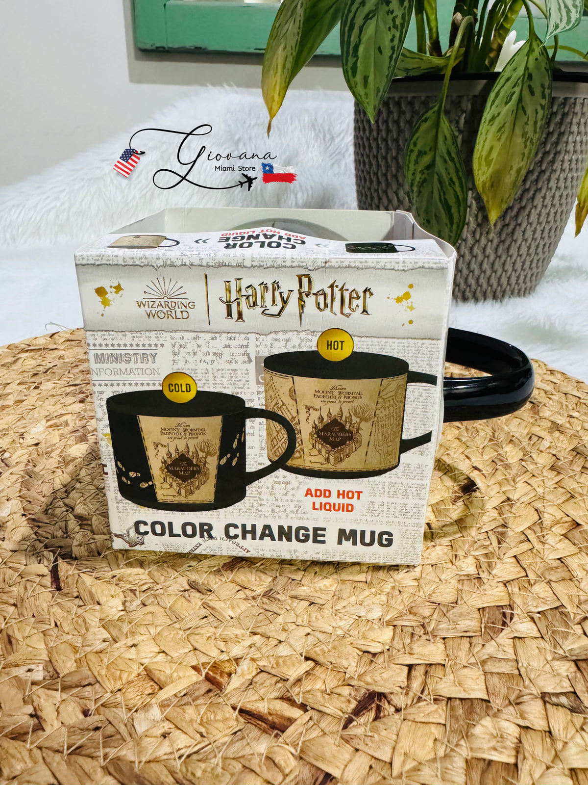 Tazón Harry Potter Cambio de Color
