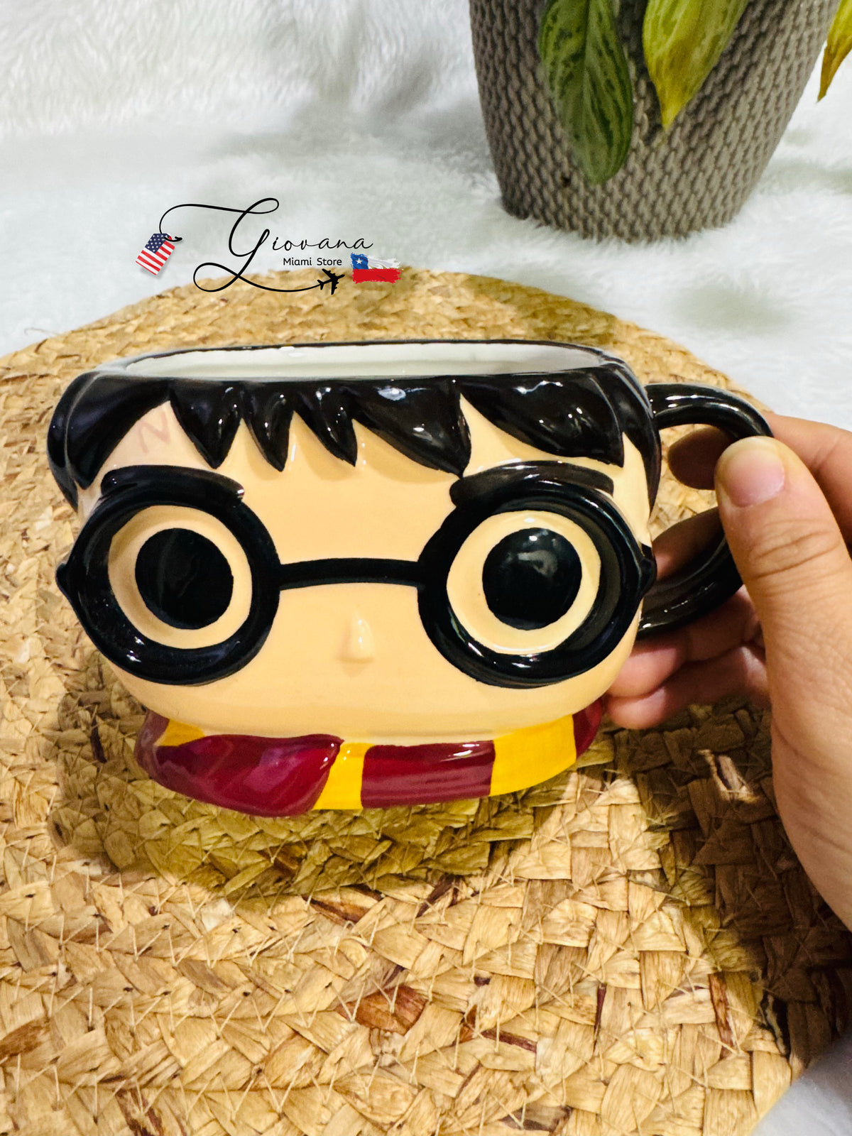 Tazón Harry Potter Funko