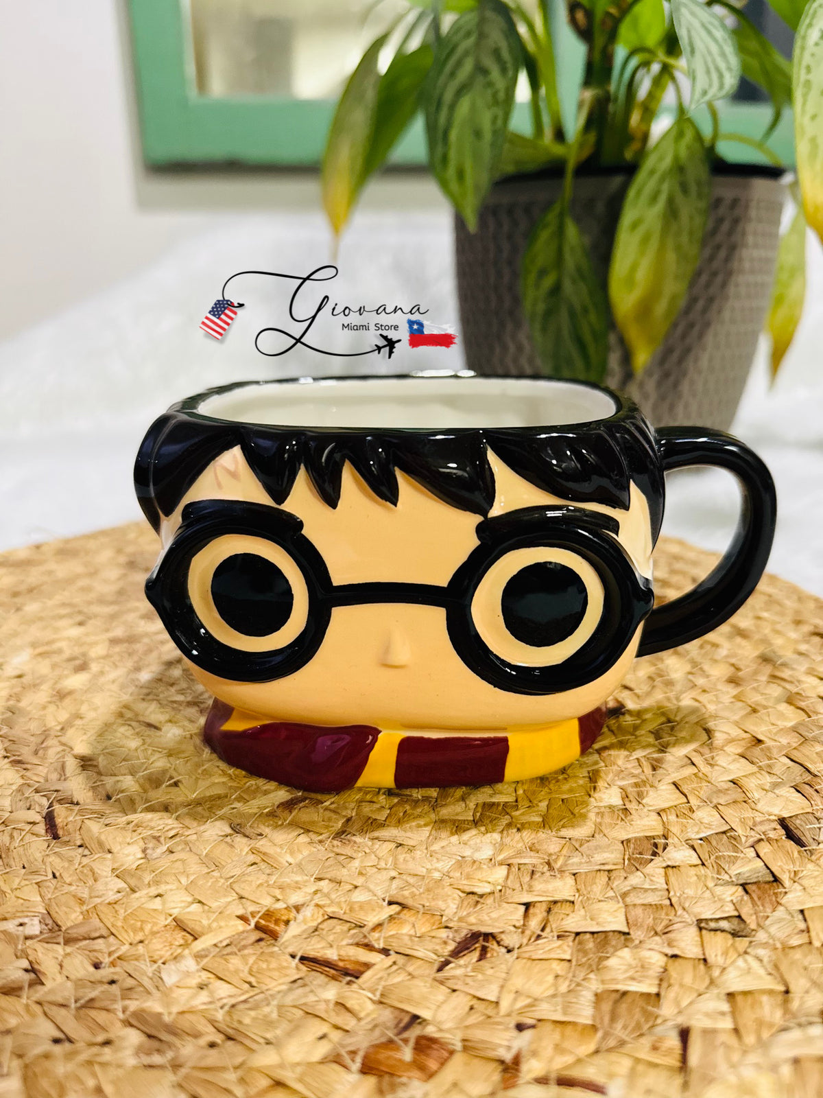 Tazón Harry Potter Funko