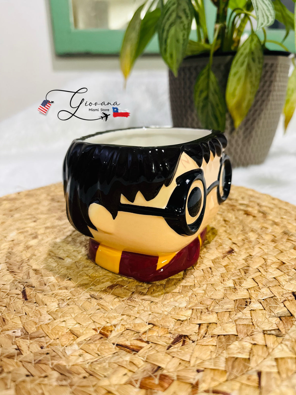 Tazón Harry Potter Funko